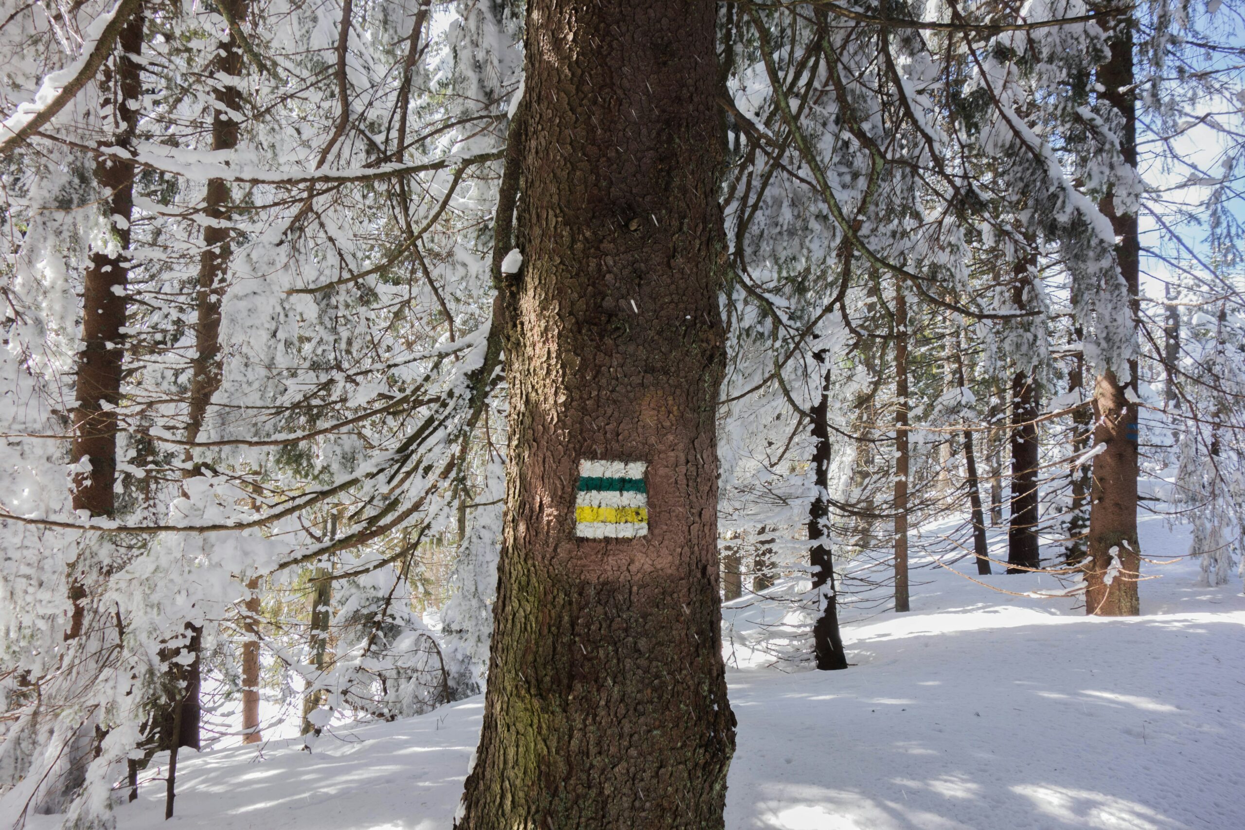 GORC –  Z WIEŻĄ PANORAMICZNĄ W GORCACH